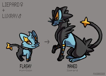 ambiguous_gender contextual_arrow directional_arrow feral grey_background sequential_arrow simple_background solo pokebreeder nintendo pokemon felid generation_4_pokemon generation_5_pokemon hybrid liepard luxray mammal pokemon_(species) purrloin shinx