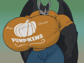 anthro big_muscles big_pecs black_body black_fur blue_bottomwear blue_clothing blue_pants bottomwear brown_eyes clothing fur grey_body grey_fur huge_muscles huge_pecs hyper hyper_muscles hyper_pecs male multicolored_body multicolored_fur muscular muscular_anthro muscular_arms muscular_male orange_clothing orange_shirt orange_topwear pants pecs shirt solo tight_clothing topwear wings sonicgamer zylo_(sonicgamer) bat mammal hi_res