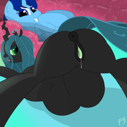 bodily_fluids duo female feral genital_fluids genitals inside inside_stomach internal male male/female tongue tongue_out vaginal_fluids vore vulva x-ray_view fskindness friendship_is_magic hasbro my_little_pony fan_character queen_chrysalis_(mlp) 1:1 absurd_res hi_res