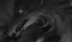 blood bodily_fluids canid canine canis feral greyscale hauringu looking_at_viewer mammal monochrome solo wolf