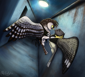 4_toes adolescent against_surface against_wall alternative_fashion anisodactyl anthro asphyxiation avian_butt avian_feet beak bodily_fluids brown_body brown_eyes chest_tuft choking claws clenched_teeth clothed clothing constricted_pupils duo feathered_wings feathers feet feral fight fluffy freckles head_tuft holding_another intimidation leg_grab leg_tuft male markings multicolored_body neck_grab neck_tuft open_beak open_mouth open_smile partially_clothed predator/prey pseudo_hair punk pupils resisting restrained semi-anthro shirt small_feet small_pupils smile spots spotted_markings story_included striped_markings stripes struggling sweat sweatdrop tail tail_feathers talons tan_body tank_top teeth toe_claws toes topwear tuft villainous violence white_body wings yellow_sclera young sallylla liam_luna neville_nightglider athene_(genus) avian bird european_nightjar little_owl nightjar owl true_owl 2026 digital_media_(artwork) hi_res story story_in_description