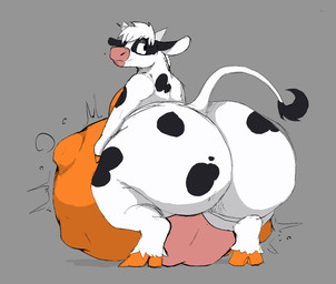 anthro anthro_pred belly big_belly black_tail_tip butt dipstick_tail grey_background huge_belly male male_pred markings orange_belly simple_background struggling struggling_prey tail tail_markings teats udders vore white_arms white_body white_legs white_tail makuito bovid bovine cattle mammal 2026 hi_res