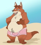 2018 absurd_res anthro baron_puddin_paws beach belly bulge canid canine clothing disney fox gideon_grey hi_res male mammal moobs overweight overweight_male red_fox seaside solo swimwear true_fox zootopia