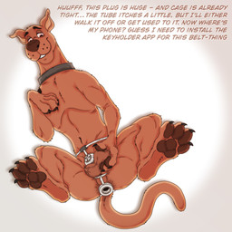 anal anal_penetration balls bdsm buttplug buttplug_in_ass buttplug_insertion catheter catheter_in_urethra chastity_belt chastity_cage chastity_device collar feral genitals holding_own_balls male medical_instrument nude object_in_ass pawpads penetration plug_(sex_toy) plug_insertion restraints scientific_instrument sex_toy sex_toy_in_ass sex_toy_insertion solo tail text urethral_plug vein veiny_balls f3lixc4tus hanna-barbera scooby-doo_(series) scooby-doo canid canine canis domestic_dog mammal 1:1 absurd_res digital_media_(artwork) hi_res