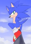 anthro anus balls blue_body blue_fur butt clothing footwear footwear_only fur genitals green_eyes looking_at_viewer male mostly_nude multicolored_body multicolored_fur penis shoes shoes_only solo tan_body tan_fur two_tone_body two_tone_fur frost_norde sega sonic_the_hedgehog_(series) sonic_the_hedgehog eulipotyphlan hedgehog mammal 2022 absurd_res hi_res