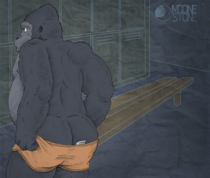anthro biceps big_butt bottomwear butt clothing fur locker locker_room looking_at_viewer looking_back male muscular muscular_anthro muscular_male rear_view shorts slightly_chubby solo underwear undressing moonestone ape gorilla haplorhine mammal primate