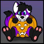 anthro black_border black_hair black_paws blue_eyes border food fruit fur hair holidays male pawpads paws plant pumpkin purple_body purple_fur smile solo teeth resiakai halloween pawalo canid canine canis domestic_dog elkhound mammal spitz 1:1