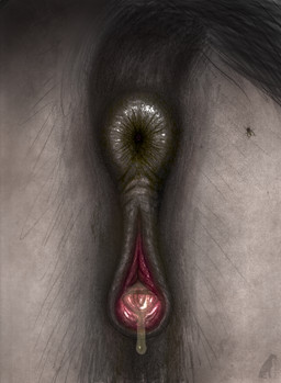 anus bodily_fluids butt dirty feces female feral genital_fluids genitals precum smearing smelly solo tail vulva darkmare arthropod equid equine fly_(animal) horse insect mammal hi_res