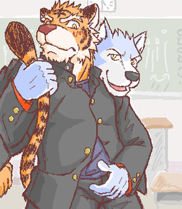 anthro blush classroom duo fur humanoid_hands inside kemono male male/male school white_body white_fur yellow_body yellow_fur kedama canid canine canis felid mammal pantherine tiger wolf 2006 archived_source low_res