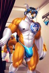 anthro black_hair blue_clothing blue_hair blue_thong blue_underwear bulge clothing fur hair long_hair male mirror muscular orange_body orange_fur solo speedo swimwear tattoo thong underwear white_body white_fur dream_and_nightmare alty canid canine fox mammal hi_res