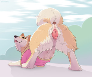 4_nipples anatomically_correct anatomically_correct_genitalia anatomically_correct_vulva animal_genitalia animal_vulva anus ass_up belly_nipples biped blep butt canine_genitalia canine_vulva clothed clothed_feral clothing female female_feral feral fur genitals looking_at_viewer looking_back multi_nipple multicolored_body multicolored_fur nipples orange_eyes presenting presenting_anus presenting_hindquarters presenting_vulva quadruped seductive solo tan_body tan_fur tongue tongue_out two_tone_body two_tone_fur vulva white_body white_fur digitoxici panama_(hakudoge) canid canine canis domestic_dog mammal shiba_inu spitz 2025 digital_media_(artwork) hi_res