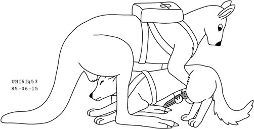anatomically_correct animal_genitalia animal_penis backpack balls canine_genitalia canine_penis claws duo erection feral feral_on_feral fur genitals handjob interspecies jerking_off_another kangaroo_genitalia kangaroo_tail knot knotted_penis long_tail male male/male penile penis sex sheath simple_background size_difference tail white_background urbanhermit canid canine kangaroo macropod mammal marsupial 1985 black_and_white dated monochrome