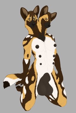 2_heads animal_genitalia anthro balls breasts brown_body brown_fur conjoined duo fully_sheathed fur genitals gynomorph hair intersex looking_at_viewer multi_breast multi_head nipples nude sheath smile solo tail skullsbesan carson_and_caroline_halligan african_wild_dog canid canine canis mammal absurd_res digital_media_(artwork) hi_res sibling_(lore)