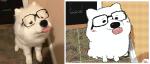 :3 ambiguous_gender barking black_eyes blush comparison door eyewear feet feral fur glasses inside looking_up nude on_ground photo pink_tongue real sitting smile solo tongue tongue_out white_body white_fur keke_(artist) canid canine canis domestic_dog mammal nordic_sled_dog samoyed spitz 2020 2d_animation 7:3 animated frame_by_frame short_playtime