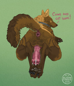 anatomically_correct animal_genitalia animal_penis anus balls balls_on_penis bodily_fluids brown_body brown_fur butt canine_genitalia canine_penis collar feral fur genital_fluids genitals knot knotted_penis leaking_precum male paws penis precum presenting presenting_hindquarters raised_tail solo tail text aliena-cordis canid canine canis mammal wolf english_text hi_res