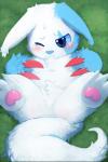 ambiguous_gender blue_body blue_eyes blue_fur blush bodily_fluids featureless_crotch feral fur grass lying on_back one_eye_closed pawpads plant semi-anthro solo tail tears white_body white_fur kake0078 nintendo pokemon generation_3_pokemon pokemon_(species) shiny_pokemon zangoose absurd_res hi_res