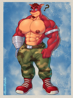 5_fingers abs anthro barazoku big_muscles big_pecs blue_eyes boots bottomwear brown_body brown_fur brown_hair bulge camo camo_bottomwear camo_clothing camo_pants camo_print clothing cybernetic_arm cybernetic_limb detailed_bulge facial_hair fingers footwear front_view fur genital_outline goatee hair huge_pecs looking_at_viewer male muscular muscular_anthro muscular_male navel nipples pants pattern_bottomwear pattern_clothing pattern_pants pecs penis_outline question_mark shirtless shoes simple_background solo standing tan_body tan_fur hunnipanda activision crash_bandicoot_(series) crunch_bandicoot bandicoot mammal marsupial hi_res signature