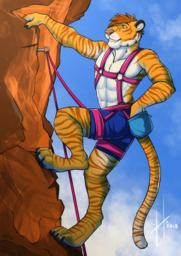 abs anthro athletic athletic_anthro athletic_male black_claws blue_sky claws climbing clothed clothing cloud fur grin hair harness male male_anthro markings orange_hair orange_stripes pecs pink_harness rope sky smile solo striped_arms striped_legs striped_markings striped_tail stripes tail tail_markings topless white_body white_fur yellow_body yellow_fur hufnaar felid mammal pantherine tiger hi_res