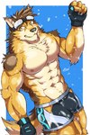 abs anthro bottomwear bulge clothing countershading eyewear fingerless_gloves gloves goggles handwear hip_window male muscular muscular_anthro muscular_male navel nipples pecs shorts solo swimwear water hiei_w lifewonders live_a_hero barrel_(live_a_hero) canid canine canis mammal wolf hi_res