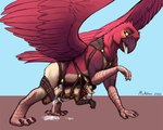 abdominal_bulge ahegao anal anal_penetration anthro anthro_on_feral anthro_penetrated arms_tied bdsm beak belly_riding bestiality biped bodily_fluids bondage bound bound_together breath brown_body brown_fur chastity_cage chastity_device cum cum_drip cum_on_body cum_on_ground cum_while_chaste dominant dominant_feral dripping duo excessive_cum excessive_genital_fluids eye_roll facial_piercing feathered_wings feathers feral feral_penetrating feral_penetrating_anthro fur genital_fluids gold_(metal) hair harness interspecies larger_feral larger_male leather looking_pleasured male male/male male_on_feral male_penetrated male_penetrating male_penetrating_male muscular muscular_male nose_piercing nose_ring nude open_mouth outside panting penetration piercing piercing_bondage quadruped red_body red_feathers ring_piercing septum_piercing sex simple_background size_difference smaller_anthro smaller_male smaller_penetrated submissive submissive_anthro submissive_male tail tail_feathers tongue tuft tusks walking wings miramore davad_(odissy) zary_(zarycolour) avian bird finch mammal oscine passerine suid suine sus_(pig) wild_boar 2021 5:4 digital_media_(artwork) signature