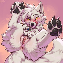 anus black_nose black_pawpads bodily_fluids claws female feral fur genital_fluids genitals grey_claws humanoid_genitalia humanoid_genitalia_on_feral humanoid_vulva humanoid_vulva_on_feral pawpads solo tail tongue tongue_out vaginal_fluids vulva white_body white_fur white_tail yellow_eyes k0ira canid canine canis mammal wolf hi_res