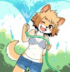 anthro bottomwear bra breasts brown_hair clothing cute_fangs denim denim_bottomwear denim_clothing denim_shorts fangs female fluffy fur hair holding_object hose kemono looking_at_viewer midriff multicolored_body multicolored_fur narrow_hips navel neck_tuft one_eye_closed open_mouth outside playing short_hair shorts solo spraying_water tan_body tan_fur teeth thigh_gap thin_thighs tomboy translucent translucent_clothing tuft two_tone_body two_tone_fur underwear wet wet_clothing white_body white_fur wink toraneko38 canid canine canis domestic_dog mammal shiba_inu spitz