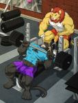 abs anthro athletic barbell barefoot beard bench_press biceps big_muscles black_body black_fur black_nose blue_eyes bodily_fluids bottomwear brown_body brown_fur brown_hair bulge clothing cum cum_in_a_cup cum_in_container cum_in_mouth cum_inside cumshot detailed_bulge drinking drinking_cum dumbbell duo ejaculation erection exercise eyes_closed facial_hair fangs feet fur genital_fluids genital_outline genitals grey_body grey_fur grin growth gym hair holding_object humanoid_genitalia humanoid_penis lying male male/male masturbation melanistic muscle_growth muscular muscular_male nipples on_back open_mouth orgasm pecs penile penile_masturbation penis penis_outline pink_nose sexercise shirt shorts sitting smile tan_body tan_fur tank_top teeth tongue tongue_out topwear torn_clothing vein weight_bench weightlifting weights whiskers white_body white_fur workout wfa gage_the_panther sidern_brethencourt felid lion mammal pantherine 2015 hi_res story story_in_description