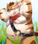 anthro belly blush bodily_fluids clothing eye_patch eyewear grass kemono male moobs navel nude one_eye_obstructed outside overweight overweight_anthro overweight_male plant robe scar scarf solo stripes sweat tongue nikiciy dragon_quest dragon_quest_x square_enix cat_ribeiro domestic_cat felid feline felis mammal