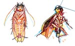 alunka ambiguous_gender antennae_(anatomy) arthropod black_hair blattodea cockroach corpse death feral hair human_faced_feral humanoid_face insect simple_background solo what_has_science_done white_background wings