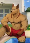 abs anthro bottomwear clothing detailed_background looking_away male muscular muscular_male pants pecs red_eyes scar sitting solo swimming_pool k9_meta kawe canid canine canis mammal wolf