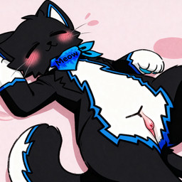 :3 black_body black_fur blush eyes_closed female fur genitals lying on_back sleeping solo tail vulva white_body white_fur unknown_artist domestic_cat felid feline felis mammal 1:1 absurd_res hi_res