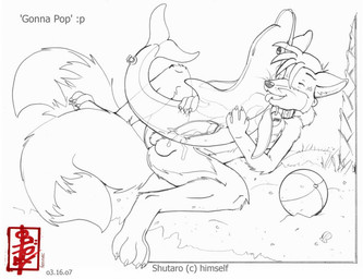 anthro ball balls beach beach_ball bodily_fluids collar cum erection genital_fluids genitals humanoid_genitalia humanoid_penis inflatable inflatable_fetish male masturbation multi_tail outside penetration penile penile_masturbation penis pool_toy seaside simple_background solo tail tongue tongue_out white_background fennec_(artist) canid canine fox mammal 2012 black_and_white monochrome signature sketch