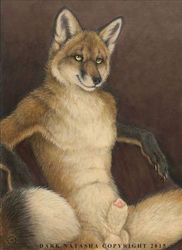 abstract_background animal_genitalia animal_penis anthro balls biped black_body black_fur black_lips black_nose brown_pawpads canine_genitalia canine_penis claws detached_sheath detailed_fur dipstick_tail fluffy fluffy_tail fully_sheathed fur genitals gloves_(marking) handpaw inner_ear_fluff lips long_mouth looking_at_viewer male markings multicolored_body multicolored_fur multicolored_tail no_sclera nude orange_body orange_eyes orange_fur pawpads paws penis penis_tip pupils realistic realistic_anthro shadow sheath sitting slit_pupils smile snout solo spread_legs spreading tail tail_markings text tuft whiskers white_balls white_body white_claws white_fur yellow_eyes dark_natasha raphael_(dark_natasha) canid canine fox mammal red_fox true_fox 2015 detailed portrait signature three-quarter_portrait traditional_media_(artwork)