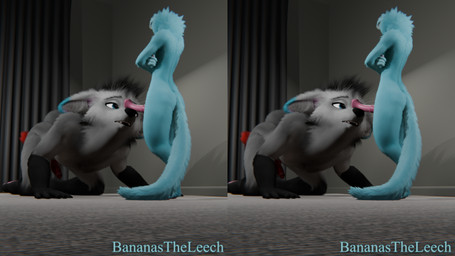 all_fours animal_genitalia animal_penis anthro balls blue_body blue_ear_tips blue_fur body_worship crossed_arms dipstick_ears dipstick_tail dominant duo ear_markings equine_genitalia equine_penis flared_penis fur genital_worship genitals gloves_(marking) gynomorph intersex intersex/intersex larger_sub leg_markings looking_at_another looking_pleasured maleherm markings multicolored_ears open_mouth penile penis penis_on_face penis_worship pink_penis size_difference socks_(marking) submissive sumbissive_male tail tail_markings bananastheleech maxnoward_(modeler) ruaidri_(modeler) gin_trio kraft_trio canid canine felid feline mammal maned_wolf 16:9 3d_(artwork) cross_eye_stereogram digital_media_(artwork) hi_res side_by_side_stereogram stereogram widescreen