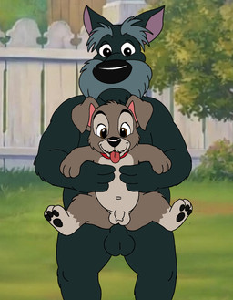 age_difference anal anal_penetration anthro anthro_on_anthro anthro_penetrated anthro_penetrating anthro_penetrating_anthro anthrofied balls duo flaccid flaccid_while_penetrated foreskin genitals humanoid_genitalia humanoid_penis larger_male looking_pleasured male male/male male_on_bottom male_on_top male_penetrated male_penetrating male_penetrating_male nude older_male on_bottom on_top penetration penile penile_penetration penis penis_in_ass reverse_stand_and_carry_position sex shota size_difference slightly_chubby smaller_male smaller_on_top smaller_penetrated spread_legs spreading standing standing_sex tongue tongue_out unretracted_foreskin young young_anthro young_male younger_male younger_penetrated unclejock disney lady_and_the_tramp jock_(lady_and_the_tramp) scamp_(lady_and_the_tramp) canid canine canis domestic_dog hunting_dog mammal mixed_breed schnauzer scottish_terrier terrier