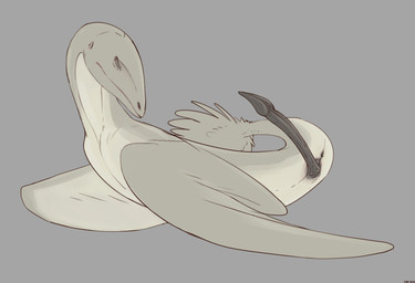 animal_genitalia anus asymmetrical_genitalia belly countershading dark_eyelids darkened_genitalia darkened_penis earhole erection eyes_closed feral genitals grey_background lying male membrane_(anatomy) membranous_wings nude on_side penis simple_background solo tail tail_tuft tailbutt tan_body tuft white_belly white_body wings zw3 flying_serpent digital_media_(artwork) hi_res