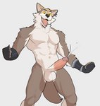 anthro balls bodily_fluids brown_body brown_fur clothing cum ear_piercing ejaculation erection fingerless_gloves fur genital_fluids genitals gloves handwear humanoid_genitalia humanoid_penis male muscular muscular_anthro muscular_male penis piercing solo jrjresq epic_games fortnite wendell_(fortnite) canid canine canis mammal wolf 2023 hi_res