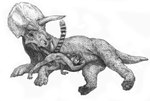 anal balls duo erection fellatio feral feral_on_feral genitals interspecies male male/male oral penile raised_tail rimming sex tail a_inc ceratopsian dinosaur lemur mammal ornithischian prehistoric_species primate reptile scalie strepsirrhine triceratops 2020 greyscale monochrome