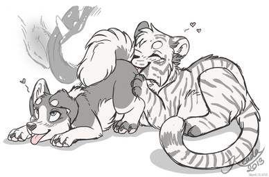 anatomically_correct anatomically_correct_genitalia anatomically_correct_vulva animal_genitalia animal_vulva canine_genitalia canine_vulva chibi cunnilingus duo eyes_closed female feral feral_on_feral genitals interspecies male male/female nude oral sex simple_background tail tongue tongue_out vaginal vulva white_background etuix canid canine canis domestic_dog felid mammal pantherine tiger 2013 dated monochrome