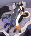 anthro bed black_body black_fur black_hair butt canid canine canis chest_tuft cuddling curled_tail dipstick_tail domestic_dog duo ear_piercing ear_ring eyes_closed featureless_crotch feet fingerless_(marking) fur furniture grey_body grey_fur hair hi_res male male/male mammal markings multicolored_body multicolored_fur nude on_bed orange_hair pawpads piercing purple_body purple_fur ring_piercing sleeping soft-dogs tail tail_markings toeless_(marking) tuft white_body white_fur white_hair wolf