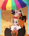 3_toes anal anal_penetration animal_genitalia animal_penis anus ball_tuft balls beach_umbrella big_balls big_butt big_penis black_balls black_eyes black_nose bodily_fluids butt butt_grab canine_genitalia canine_penis collar collar_only cowgirl_position cum cum_drip cum_from_ass cum_in_ass cum_inside cum_on_butt cum_on_penis cumshot dripping duo ejaculation eyebrows fangs feet feral feral_on_feral feral_penetrated feral_penetrating feral_penetrating_feral from_front_position genital_fluids genitals grin hand_on_butt hip_grab knot looking_at_another looking_back looking_down looking_pleasured looking_up male male/male male_on_bottom male_on_top male_penetrated male_penetrating male_penetrating_male mastery_position nude on_bottom on_top open_mouth orgasm parasol penetration penis pink_penis red_collar sex sharp_teeth smile spread_legs spreading straddling teeth thick_eyebrows thick_thighs toes tongue tongue_out tuft raccoondouglas 101_dalmatian_street 101_dalmatians disney dylan_(101_dalmatians) spike_(101_dalmatians) canid canine canis dalmatian dobermann domestic_dog mammal pinscher 2020 hi_res