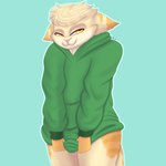 anthro balls clothing covering covering_self genitals hoodie male penis simple_background slightly_chubby solo topwear damian5320 domestic_cat felid feline felis mammal 1:1 absurd_res hi_res