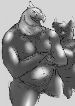 adolescent anthro athletic bald breasts confidence crossed_arms dominant duo female male male/female slightly_chubby thick_waist waist young 20secondstoshame cecil claudia accipitrid accipitriform avian bald_eagle bird dinosaur dromaeosaurid eagle owl prehistoric_species reptile scalie sea_eagle theropod true_eagle greyscale hi_res monochrome shaded