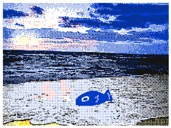 ambiguous_gender beach cloud feral fin sand scales sea seaside sky solo sun water unknown_artist aquatic fish 4:3 low_res