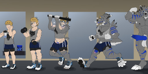 4_toes 5_fingers 5_toes abs admiring_self after_transformation animal_genitalia animal_penis anthro arm_hair arm_markings arm_tuft armpit_tuft athletic athletic_human athletic_male athletic_wear balls base_one_layout becoming_erect bicep_curl biceps big_balls big_bulge big_chest big_muscles big_penis biped black_claws black_highlights black_lips black_markings black_nipples black_nose black_pawpads blonde_hair blue_eyes blue_highlights blue_markings blue_penis blue_stripes blue_tongue bodily_fluids body_expansion body_hair body_size_growth bottomwear breath broad_shoulders bulge calf_muscles canine_genitalia canine_penis cheek_tuft claws clenched_teeth clothed clothed_human clothed_male clothing container crotch_tuft cup destroyed_clothing digitigrade dipstick_ears dipstick_fingers dipstick_toes dripping dumbbell ear_markings ears_back ejaculation elbow_tuft erection exercise exercise_clothing exercise_equipment expansion facial_markings facial_tuft fangs feet finger_claws fingerpads fingers fist five_frame_sequence flexing flexing_bicep flexing_both_biceps fluffy fluffy_tail footwear forearm_muscles fur fur_growth genital_expansion genital_fluids genital_transformation genitals gloves_(marking) gradient_background grey_body grey_fur grey_markings growth gym_bottomwear gym_equipment gym_shorts hair hair_to_fur hand_on_head hand_on_neck hand_on_own_head hand_on_own_neck hand_pads hanging_from_bar head_markings highlights_(coloring) holding_container holding_cup holding_dumbbell holding_object human_to_anthro imminent_transformation jogging knot knotted_penis leaking_precum leg_markings lips logo logo_on_shirt male mane markings mid_transformation multicolored_body multicolored_ears multicolored_fur muscle_growth muscular muscular_anthro muscular_human muscular_male navel neck_tuft nipples nude nude_anthro nude_male panting pawpads paws pecs penis penis_poking_out penis_through_leghole pivoted_ears plantigrade plantigrade_to_digitigrade pointy_ears pose precum precum_drip presenting protein_powder protein_shake pull-up_(exercise) quads serratus shadow sharp_teeth shirt shirt_rip shoes shorts shoulder_tuft simple_background size_transformation snaggle_teeth sneakers snout snout_growth snout_markings solo species_transformation spiked_fur spiky_fur standing striped_body striped_fur stripes tail tail_growth tank_top tearing_clothing tearing_shirt tearing_shoes tearing_shorts teeth tight_bottomwear tight_clothing tight_footwear tight_gym_shorts tight_shirt tight_shoes tight_shorts tight_tank_top tight_topwear toe_claws toes tongue tongue_out topwear torn_bottomwear torn_clothing torn_gym_shorts torn_shirt torn_shoes torn_shorts torn_tank_top torn_topwear transformation transformation_sequence transformation_through_drink transformation_through_food triceps tuft two_tone_body two_tone_fur weightlifting weights white_claws workout workout_clothing workout_equipment justinfox bandai_namco digimon canid canine digimon_(species) human mammal weregarurumon 2025 artist_logo flat_colors hi_res sequence