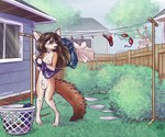 animal_genitalia anthro areola backyard balls bra breasts brown_hair building casual_nudity caught_in_the_act caught_off_guard clothes_line clothing collar day detailed_background digitigrade duo embarrassed eyewear eyewear_only fully_sheathed genitals glasses glasses_only grass gynomorph gynomorph_anthro hair house intersex intersex_anthro jewelry laundry laundry_basket long_hair nipples nude open_mouth outside panties pink_nipples plant sheath shrub sky solo_focus teeth tongue underwear wearing_glasses gavbat paradim canid canine fennec_fox fox mammal true_fox 6:5 trans_(lore) trans_woman_(lore)