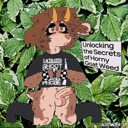 anthro balls band_merch band_shirt black_clothing black_footwear black_nails black_piercing black_shirt black_socks black_topwear bottomless bottomless_anthro bottomless_male bracelet brown_body brown_hair checkered checkered_clothing clothed clothing colored_nails drugs ear_piercing ear_ring erection eyeliner eyeshadow facial_piercing femboy fluffy fluffy_fur footwear foreskin genitals glans hair hand_on_chest horizontal_pupils horn jewelry kneeling lip_piercing makeup male marijuana medium_hair nails pattern_clothing penis piercing pink_glans pink_nose pupils ring_piercing shirt smile snakebite_piercing socks solo text text_box topwear vein veiny_penis yellow_horn galaxymoth bovid caprine goat mammal english_text hi_res watermark
