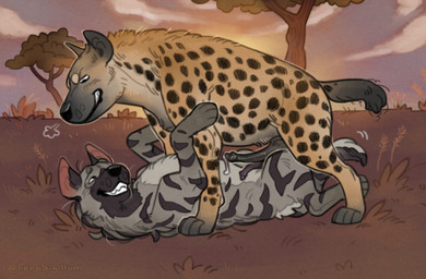 anatomically_correct anatomically_correct_genitalia animal_genitalia animal_penis bodily_fluids dominant dominant_male dripping duo feral feral_on_feral frottage genital_fluids genitals hyaenid_penis male male/male male_dominating_male outside penile penis penises_touching precum precum_drip sex submissive submissive_male fernsigillum hyena mammal spotted_hyena striped_hyena 2026 hi_res
