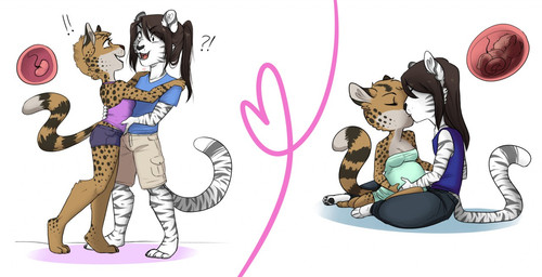 adult_on_adult anthro belly big_belly duo female fetus hair heart_symbol hug impregnation internal kissing long_hair male male/female mature_anthro mature_female neonate ovum pregnant pregnant_female sitting sperm_cell surprised young young_anthro redpixie josh_(chibitiger) felid feline mammal pantherine serval tiger