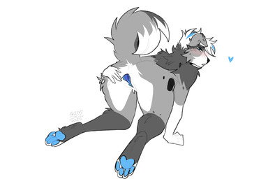 andromorph anthro blue_body blue_eyes blue_pawpads blush butt floppy_ears genitals grey_body heart_symbol intersex inviting_to_sex looking_at_viewer looking_back looking_back_at_viewer nude pawpads paws raised_tail rear_view simple_background snout solo spread_vulva spreading submissive tail vulva white_background white_body hatipeach_(character) border_collie canid canine canis collie domestic_dog herding_dog mammal pastoral_dog sheepdog 3:2 hi_res